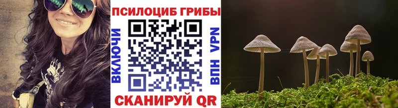 Галлюциногенные грибы мицелий Грязи